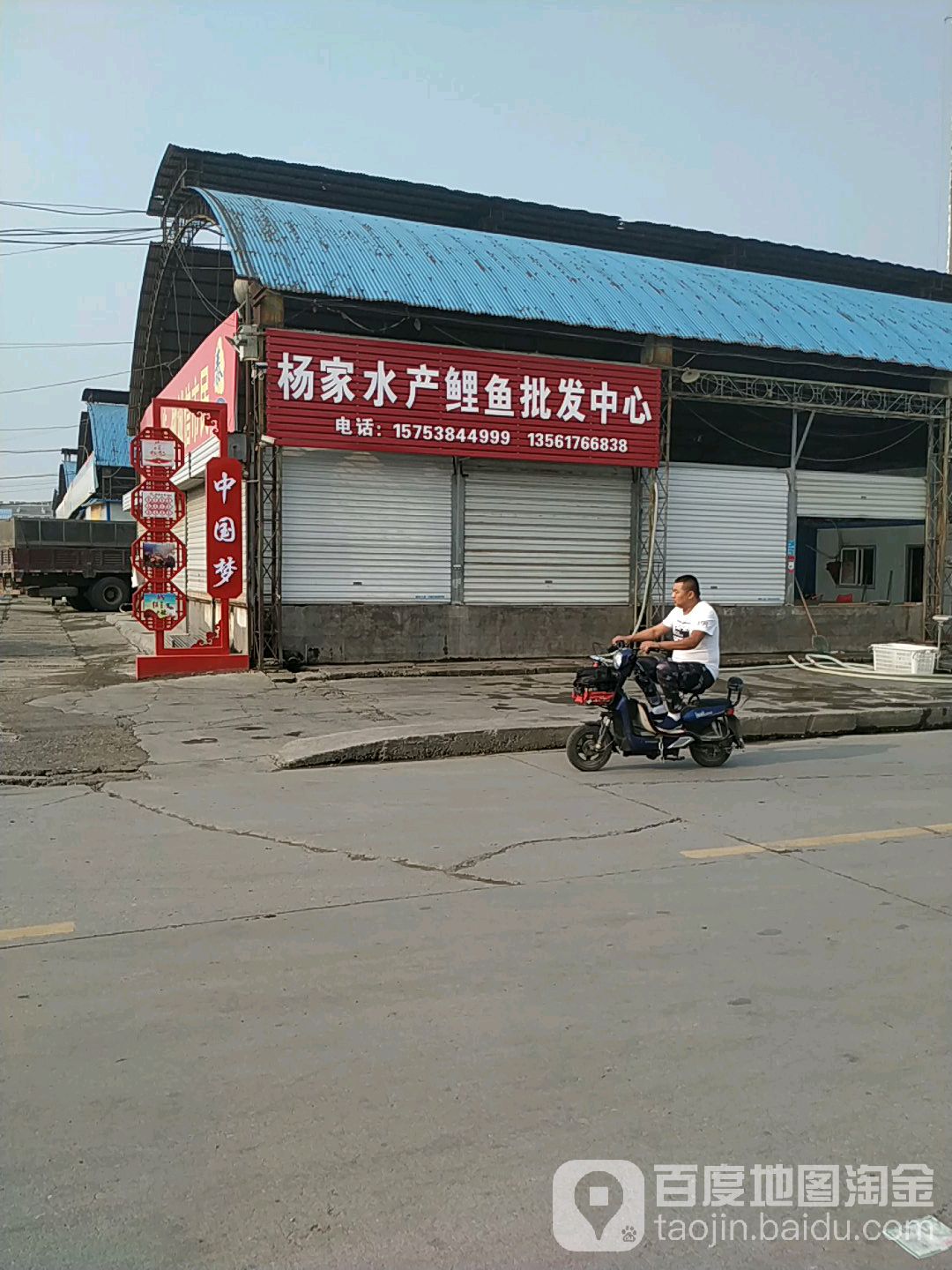 杨家水产鲤鱼批发中新