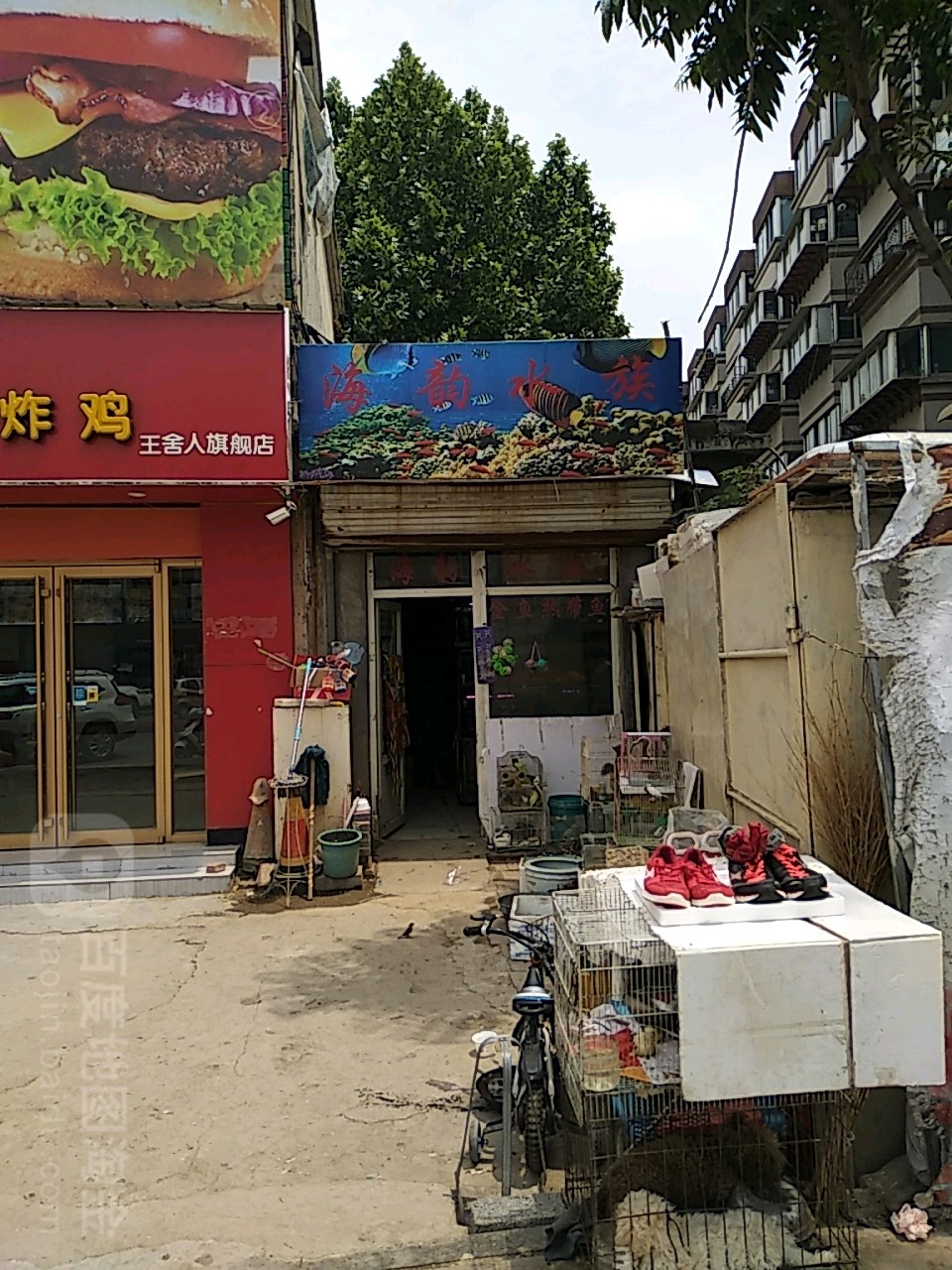 海韵水族(坝王路店)