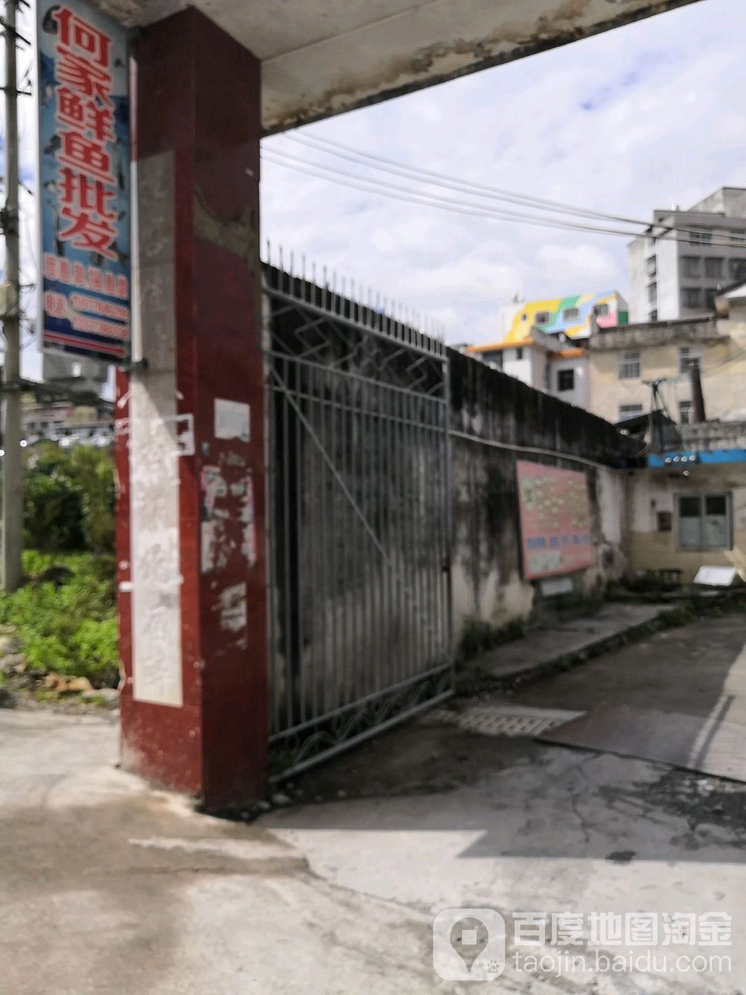 何家鲜鱼批发