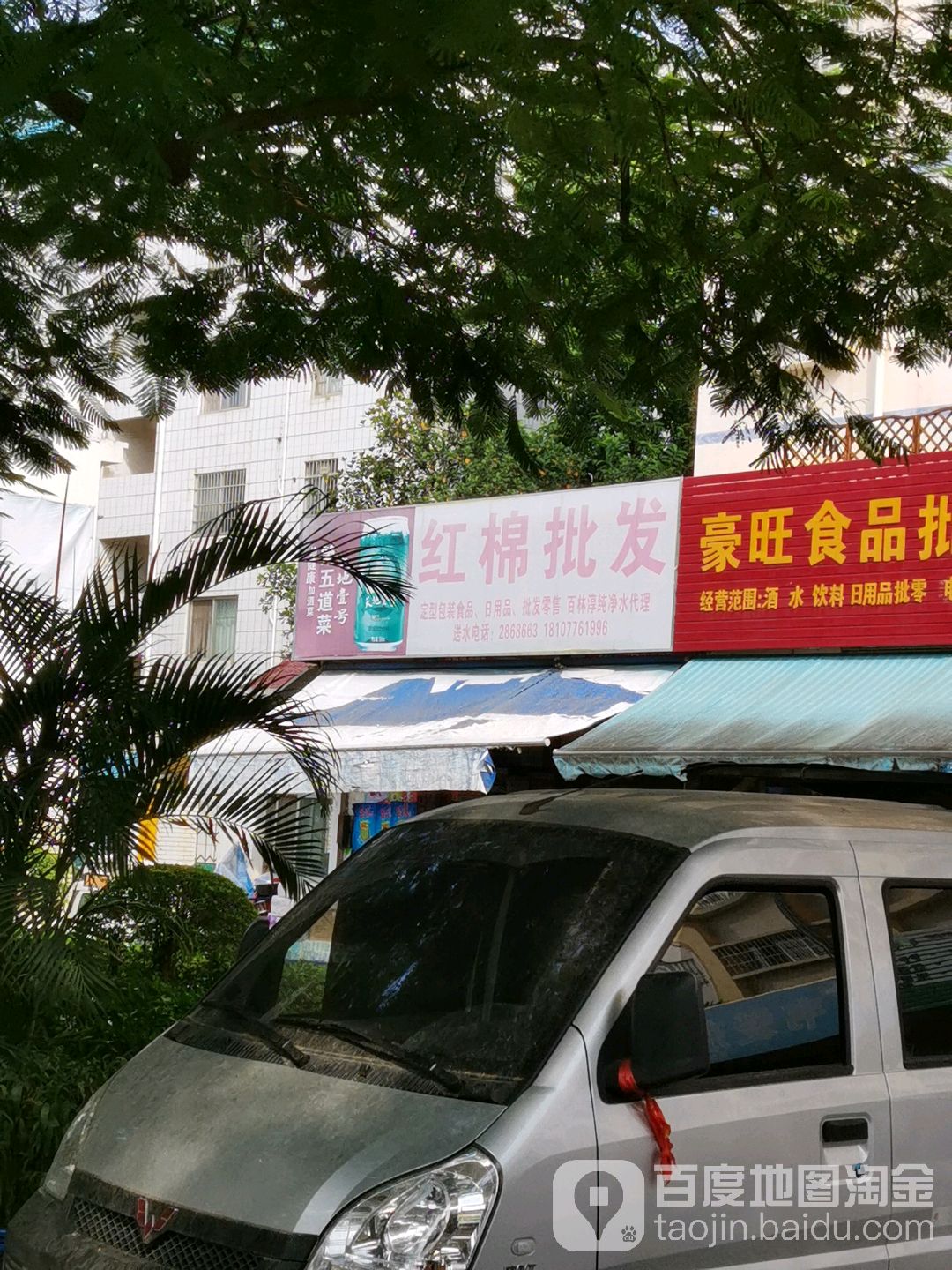 红棉批发
