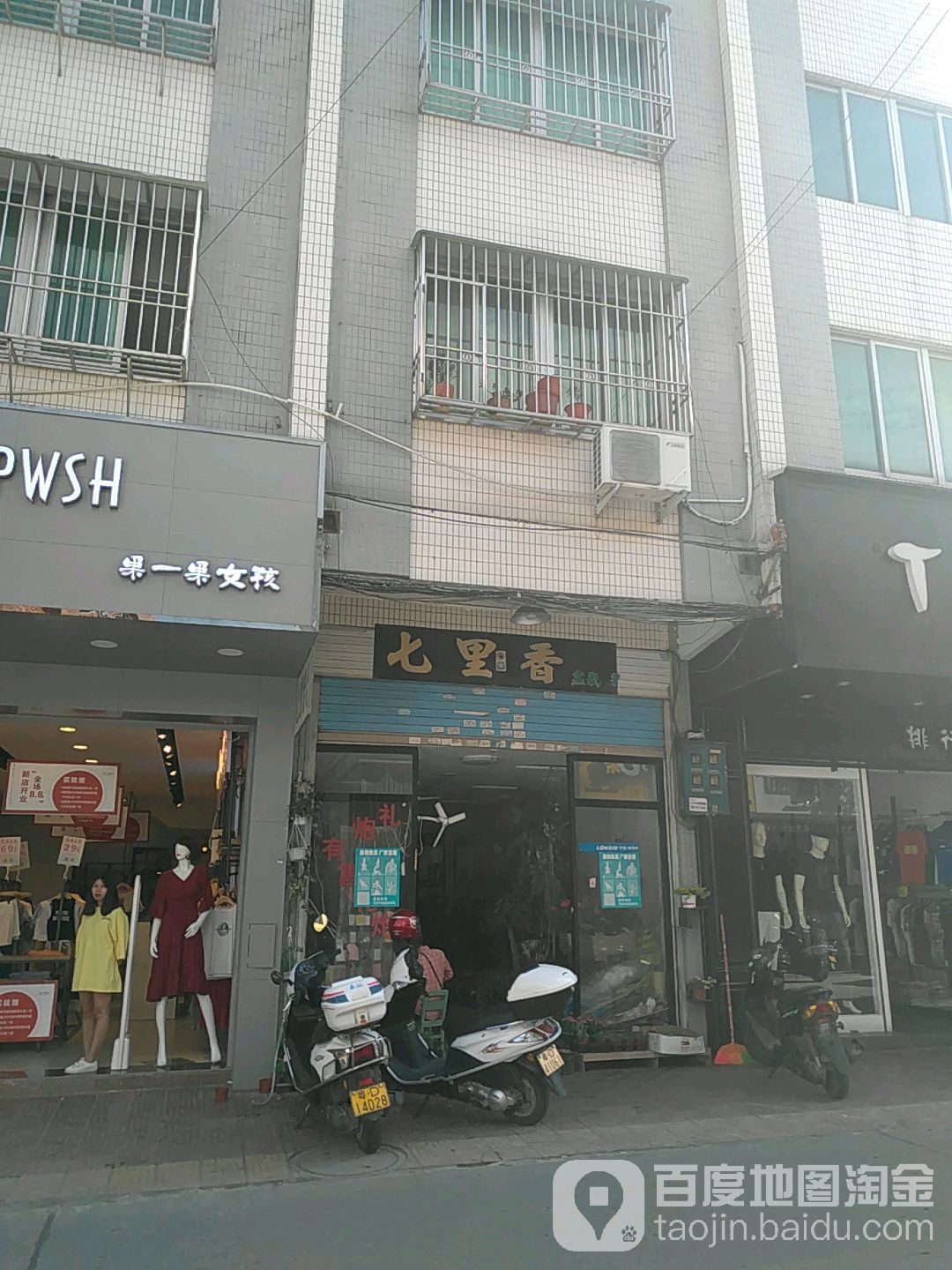 七里香盆栽(莲凤路店)