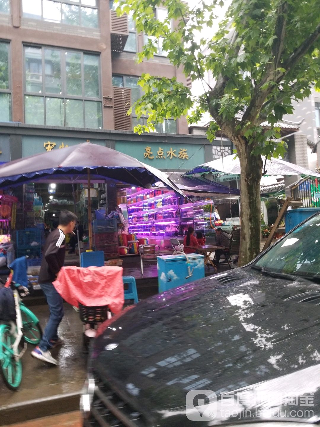 亮点水族(新开街店)(锦爱伙伴)