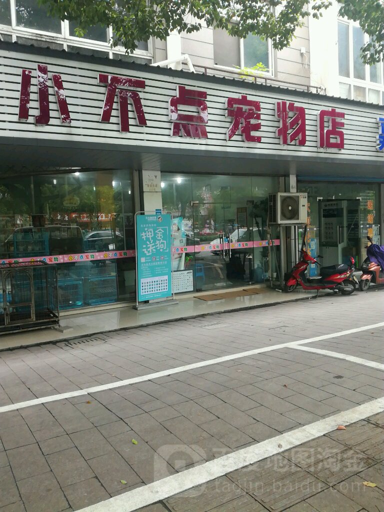 小不点宠物店