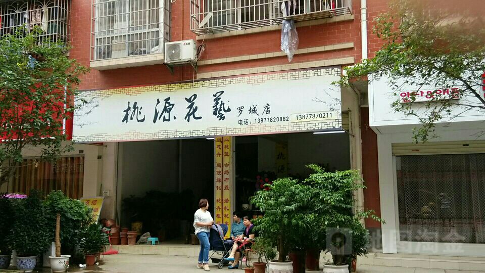 桃源花艺(罗城店)