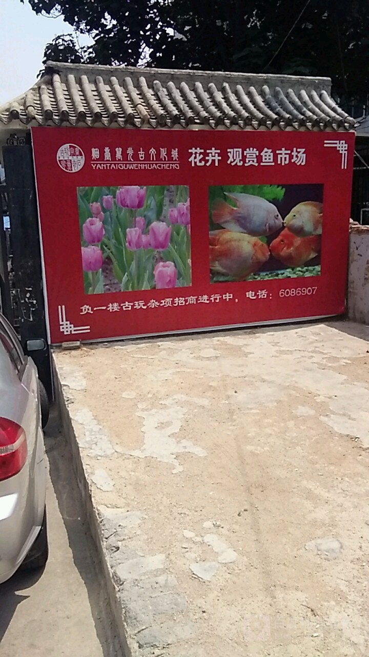 万光古文化城花卉观赏鱼市场