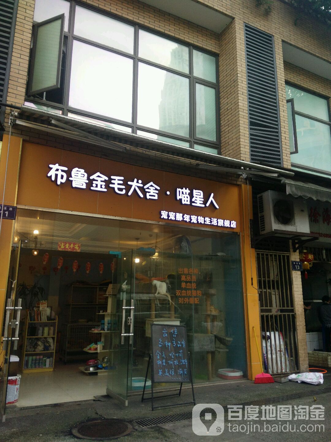 布鲁金毛犬舍·喵星人