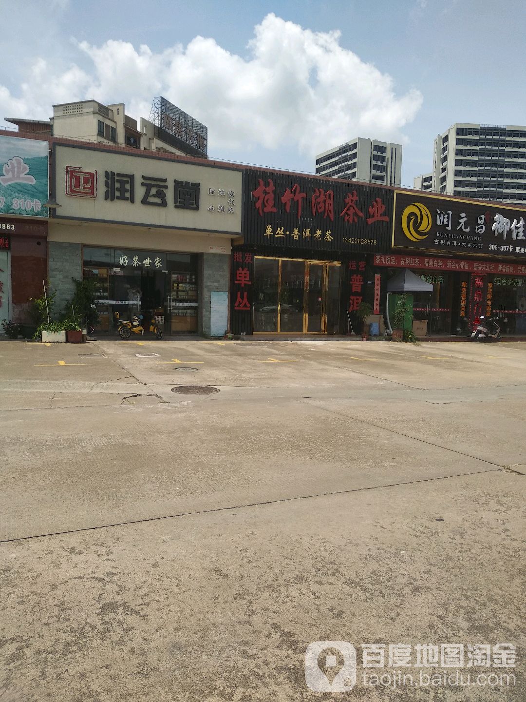 桂竹湖茶叶