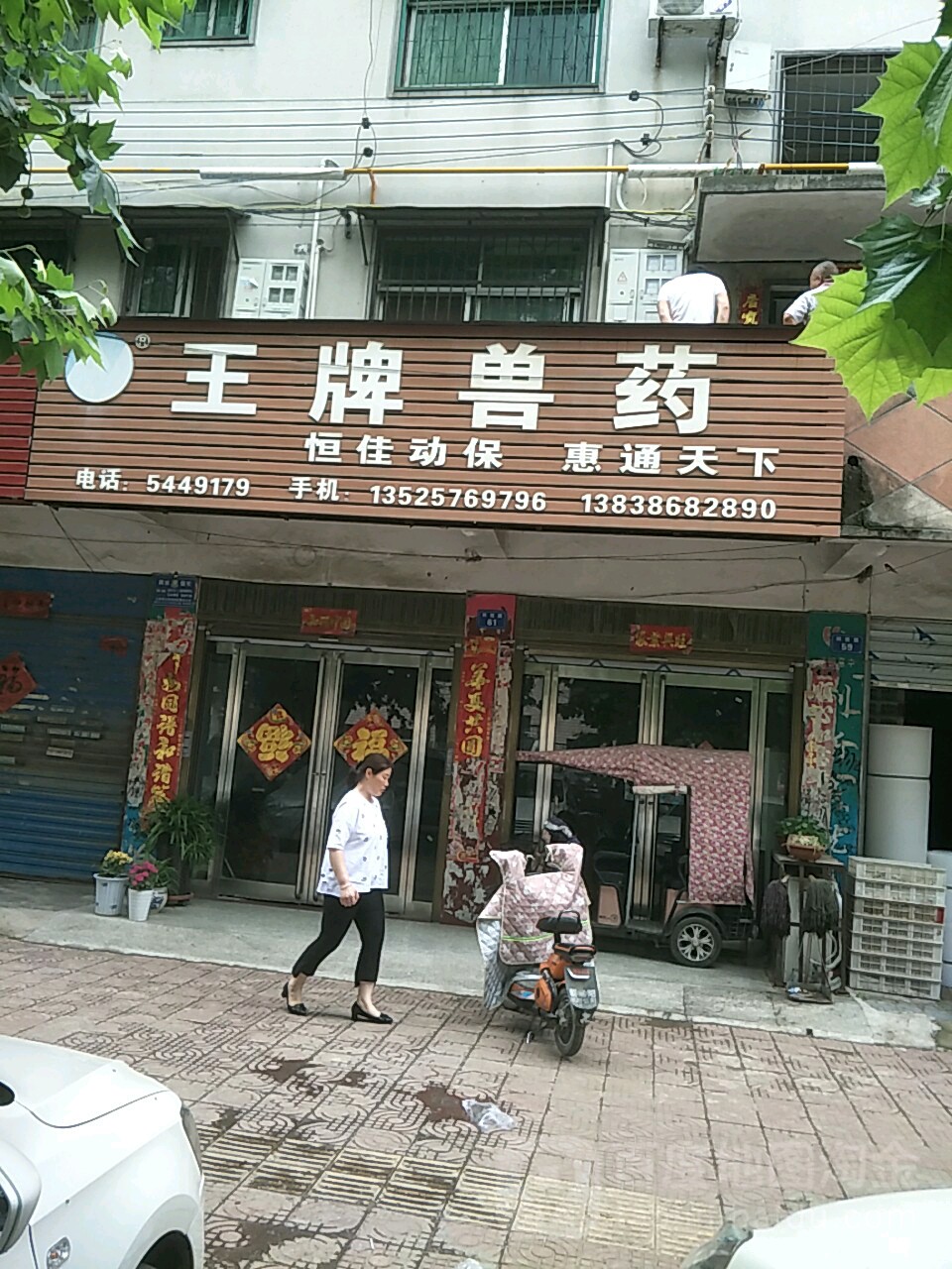 商水县王牌兽药(科技路店)