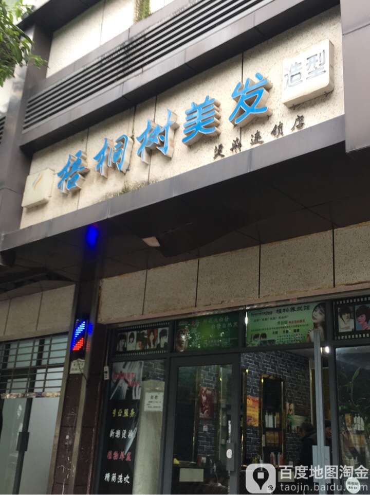 梧桐树美发造型(滨河北路中段店)