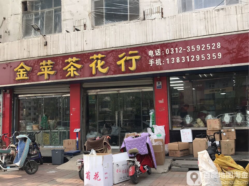 金苹茶花行