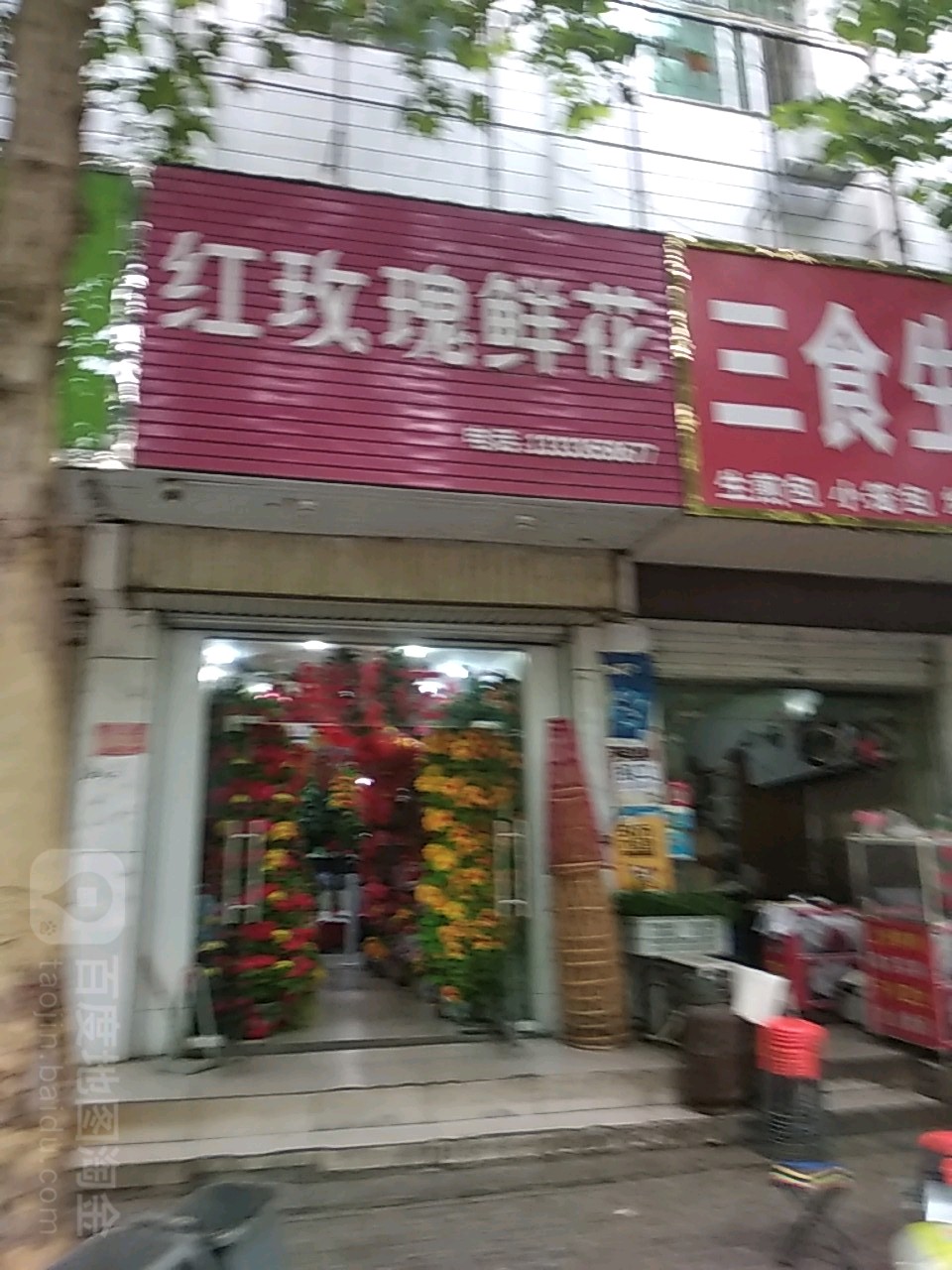 方城县红玫瑰鲜花(文化路店)