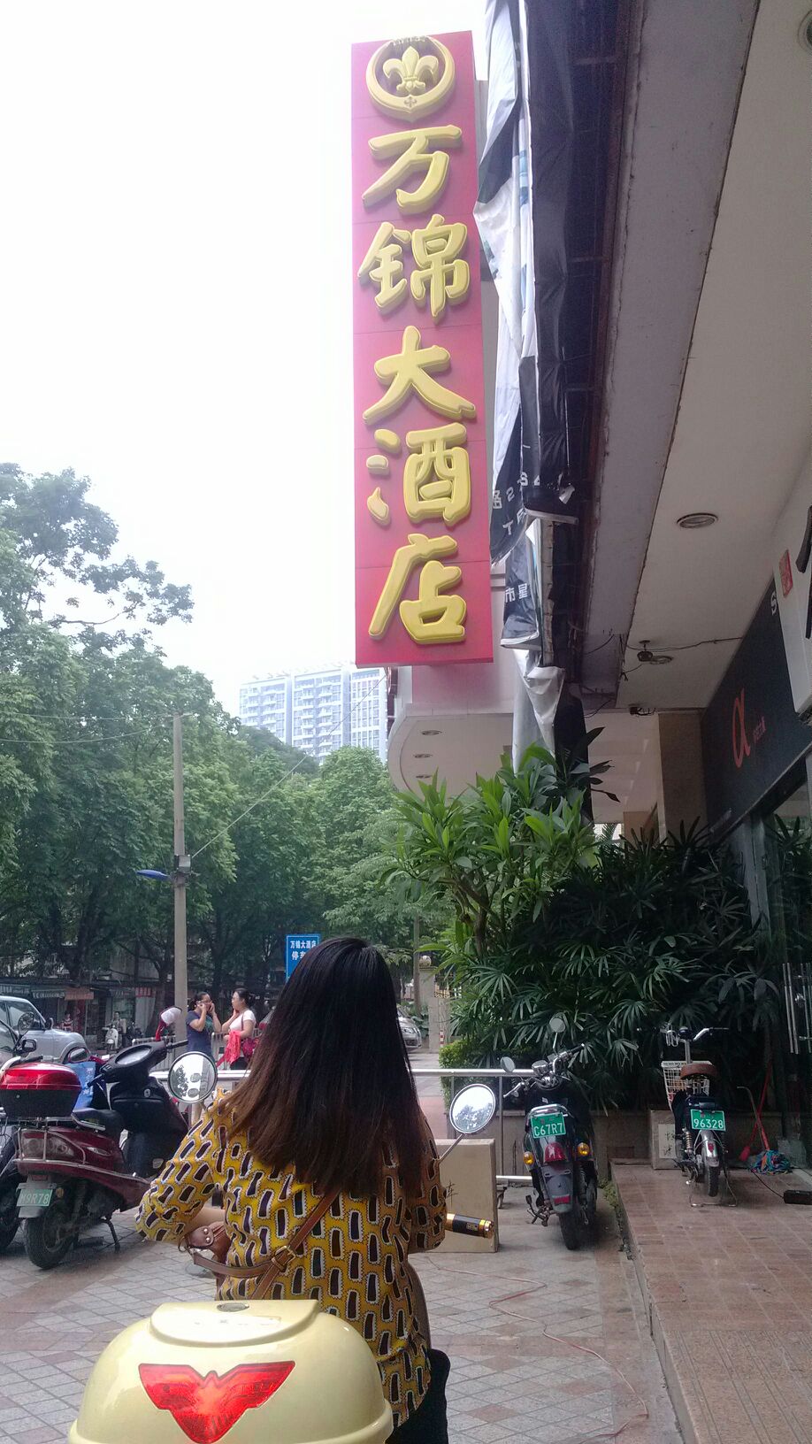 万锦大酒店-沙弧球