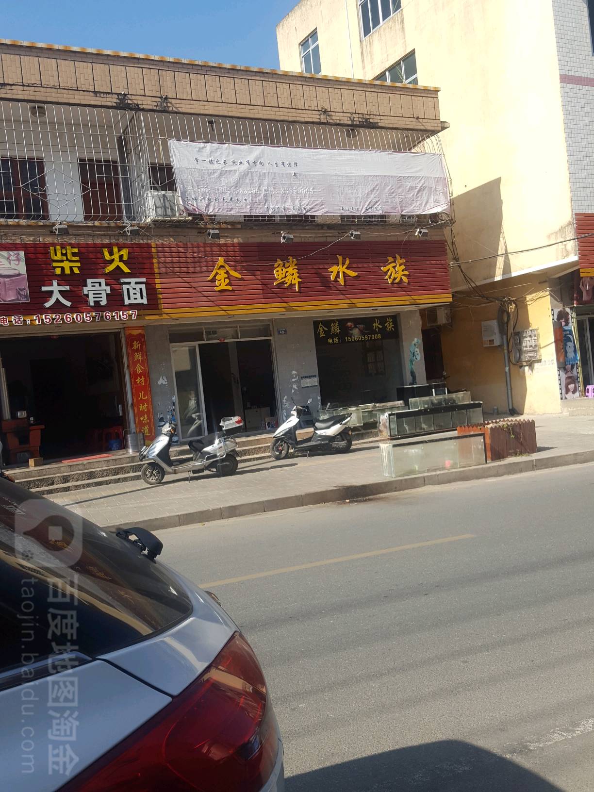 金岭水族(天主堂店)