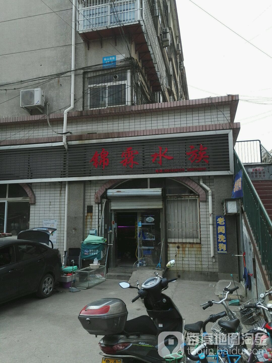 锦霖水族(标山花卉市场店)
