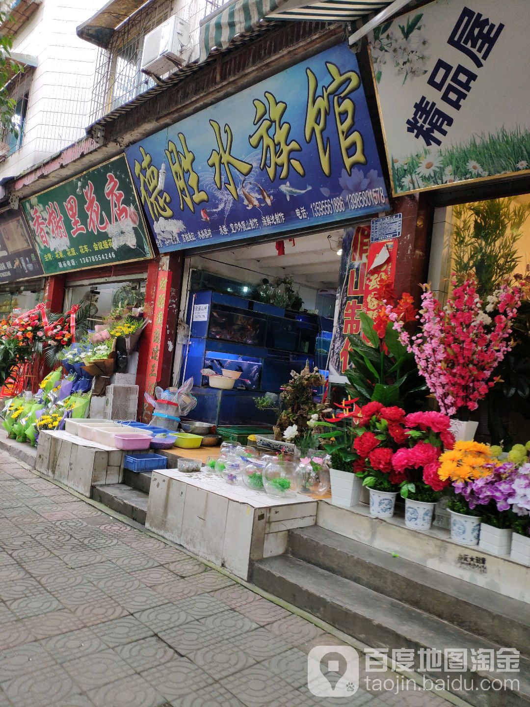 德胜水族馆(金井路店)