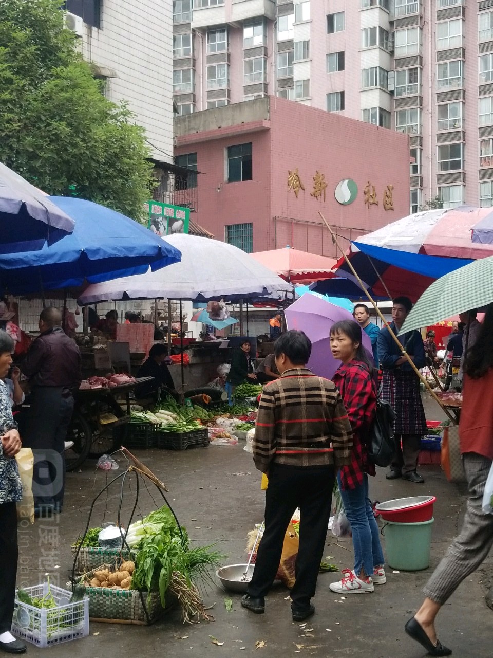 新桥社区地名网_湖南省娄底市冷水江市冷水江街道新桥社区资料简介