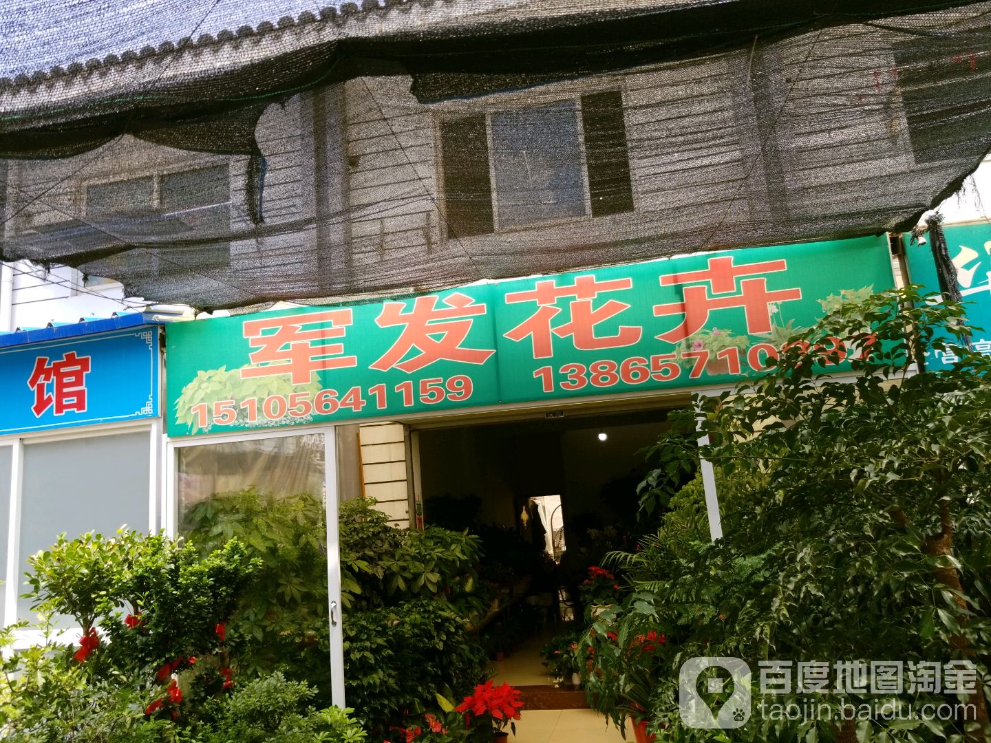 军发花卉