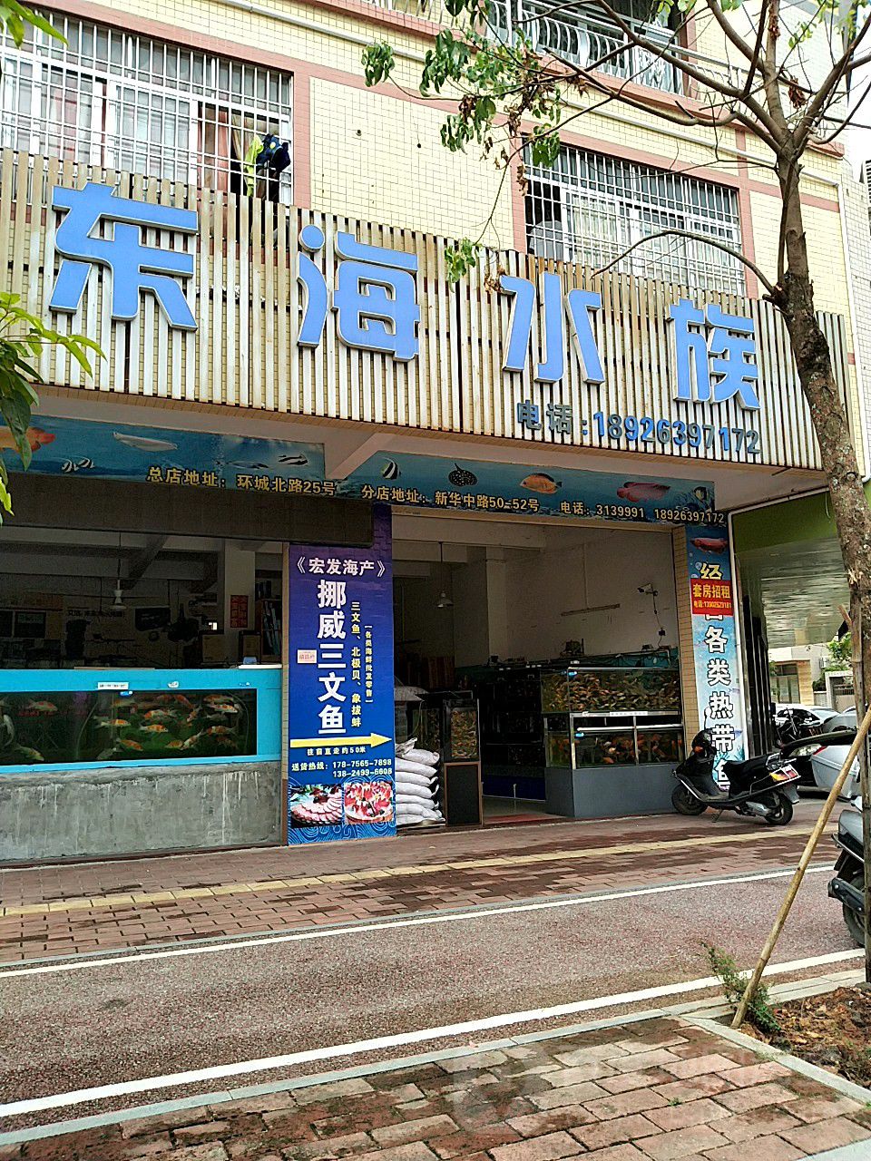 东海水族(华苑小区店)
