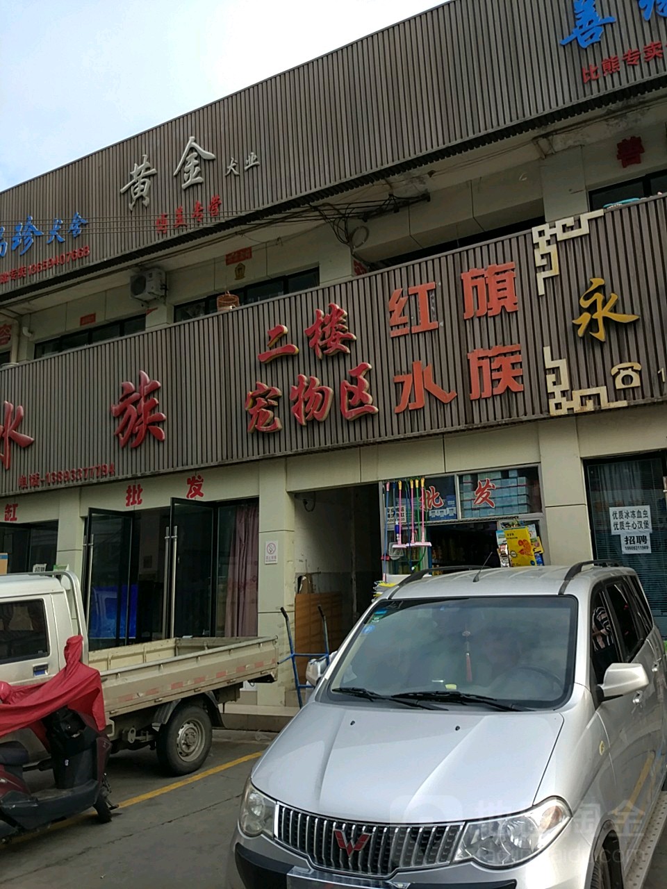 红旗水族