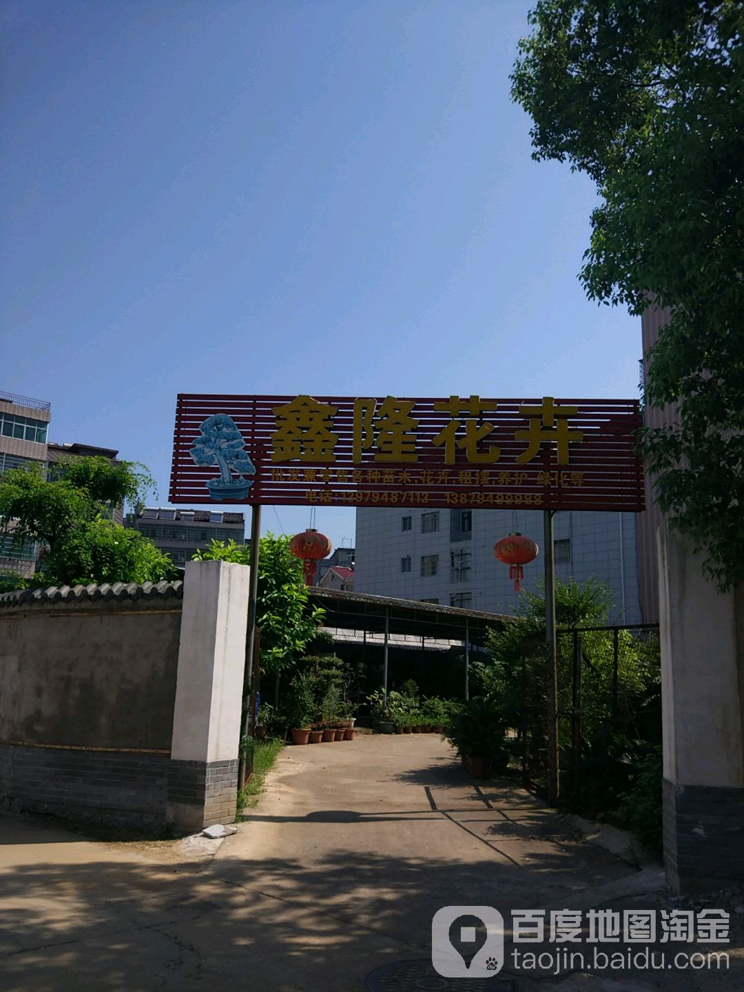 鑫隆花卉