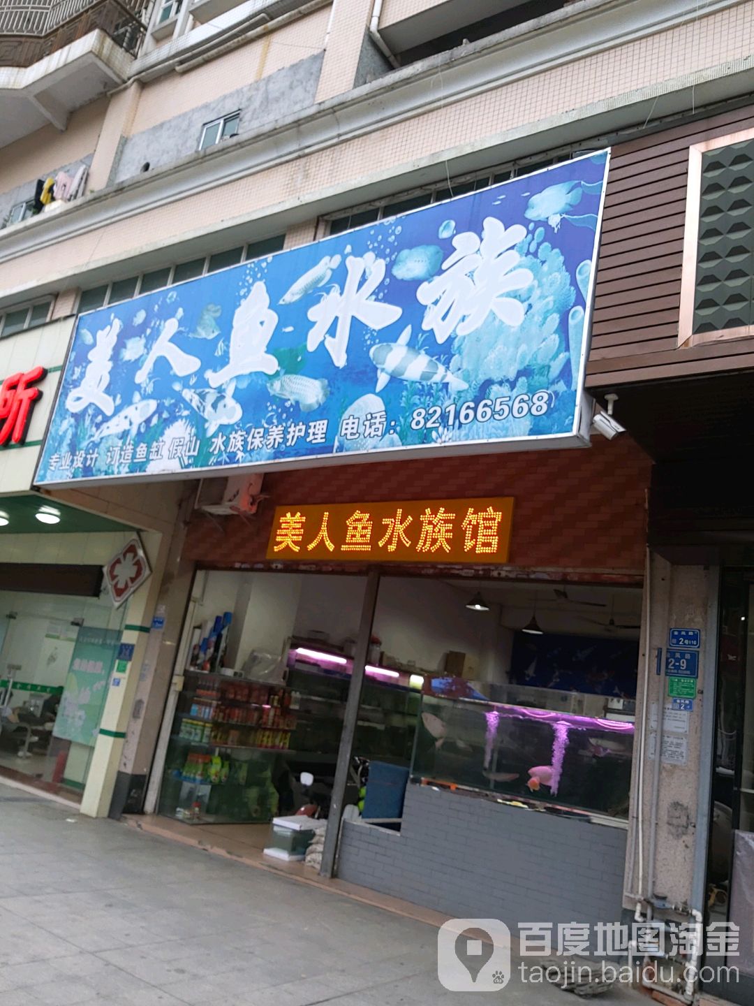 美人鱼水族