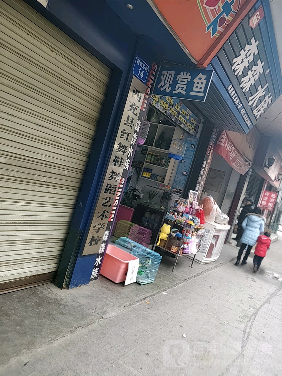sen森水族(鹤鸣东路店)