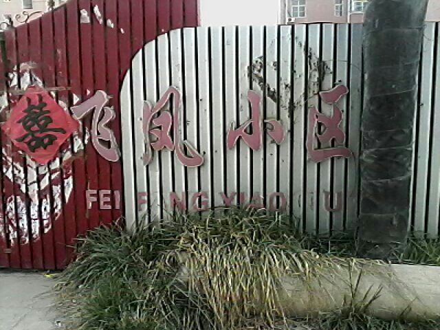 飞凤小区
