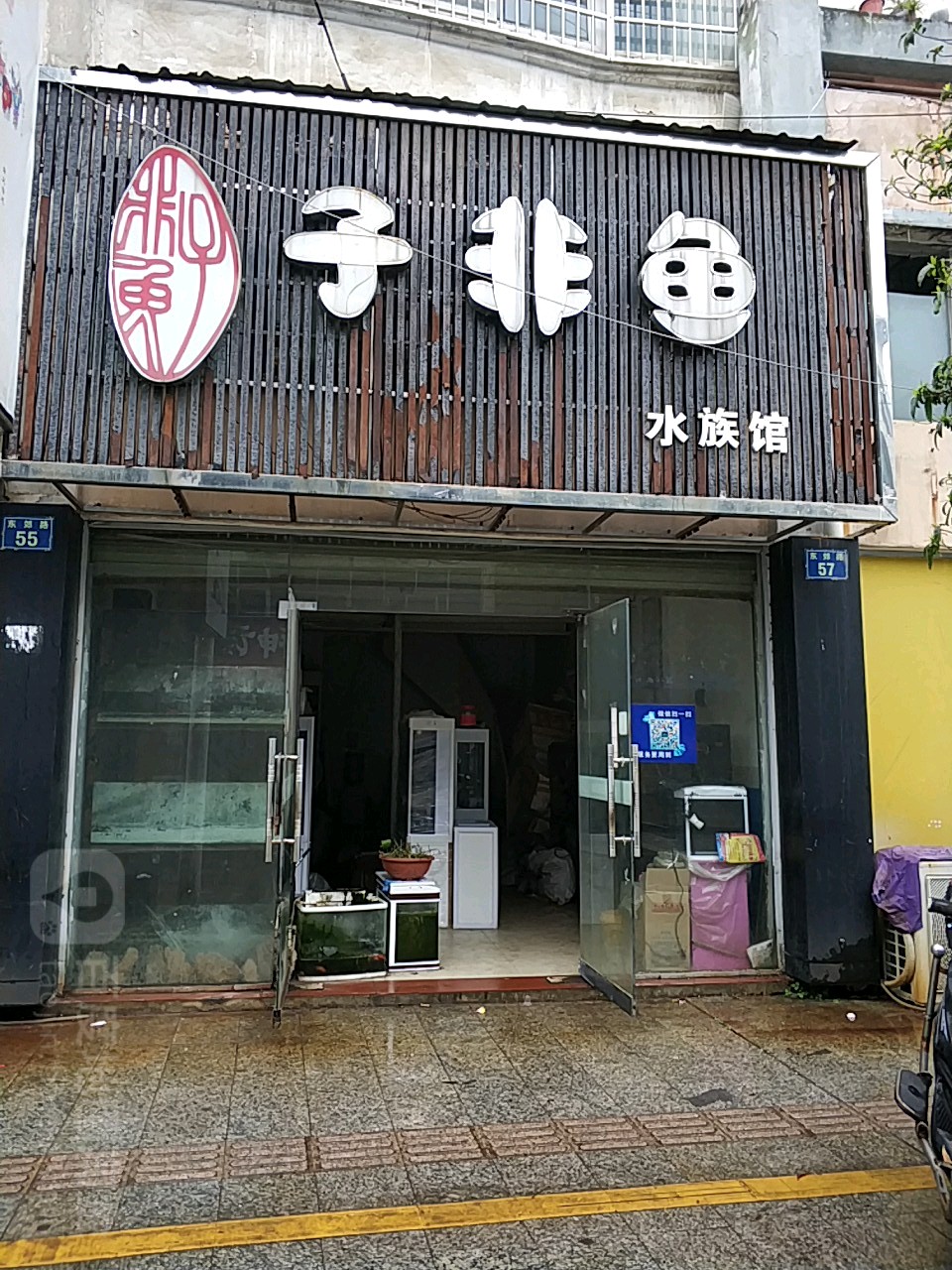 子非雨水族馆