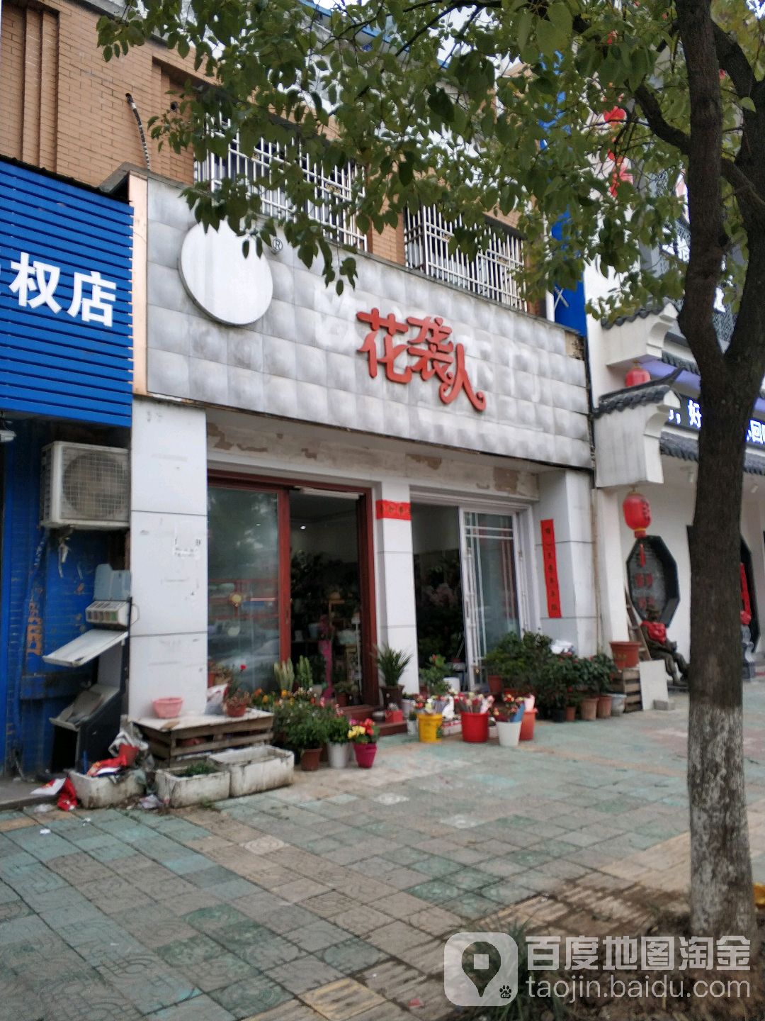 花袭人