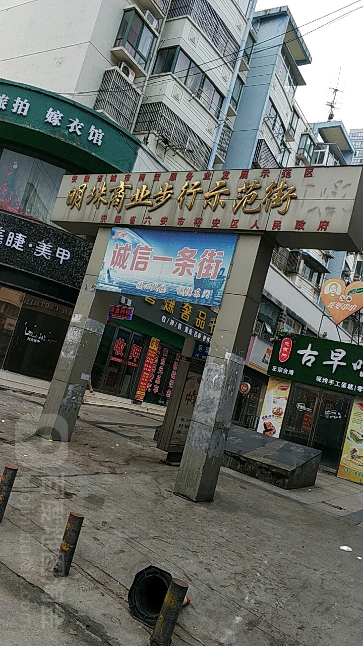 明珠紫商业步行示范街(解放中路店)