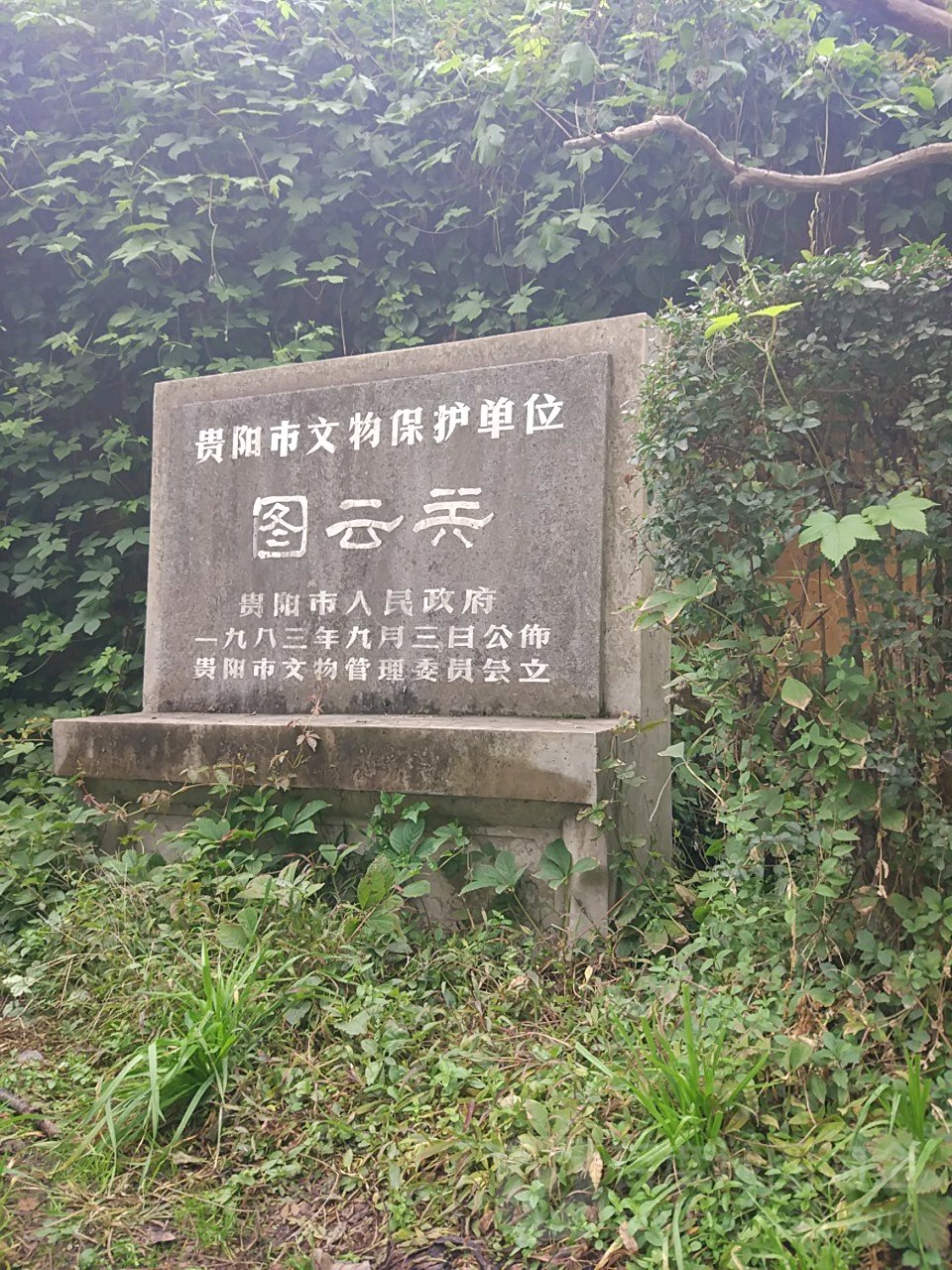 贵州森林公园-图云关