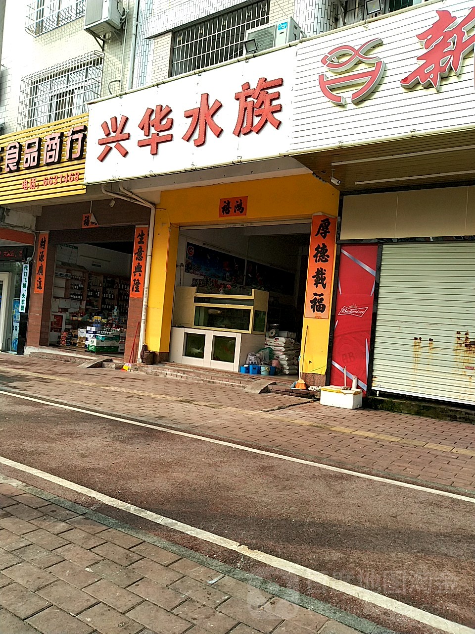 兴华水族(始兴路店)