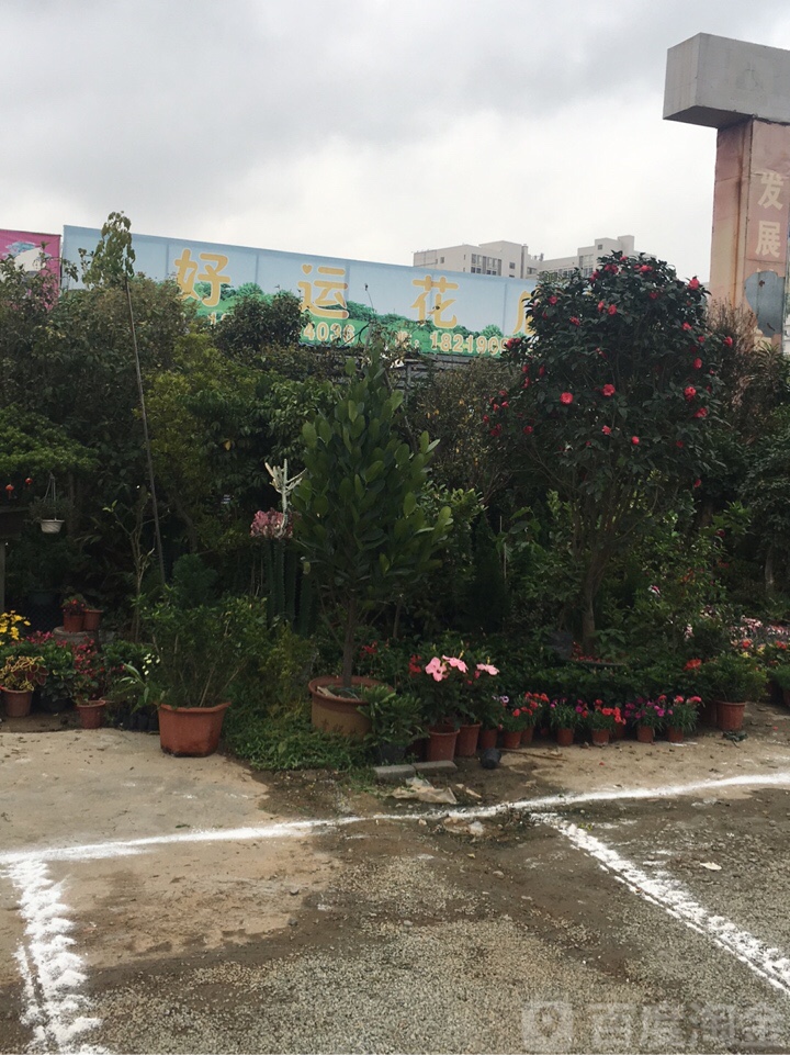 好运花店(华园路店)