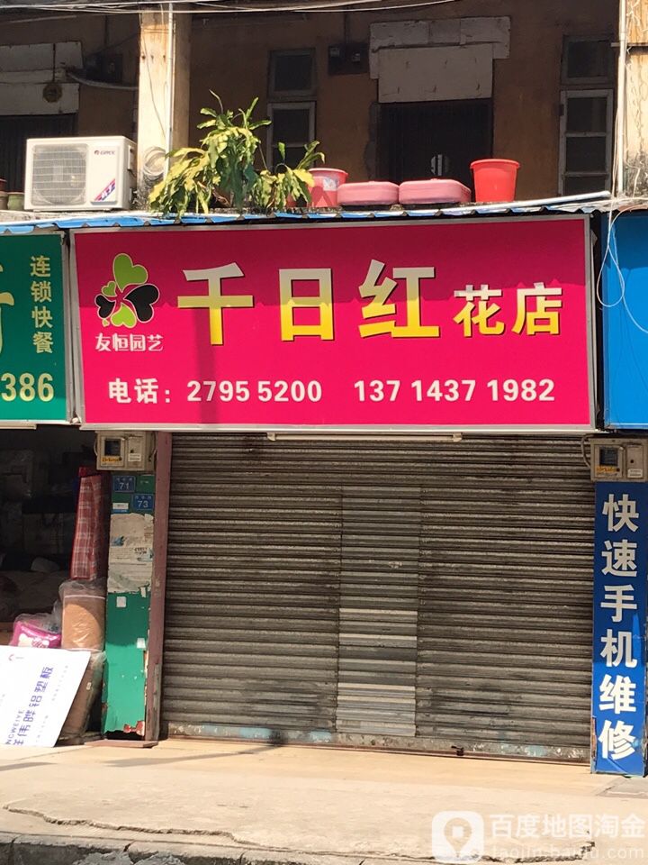 千日红花店