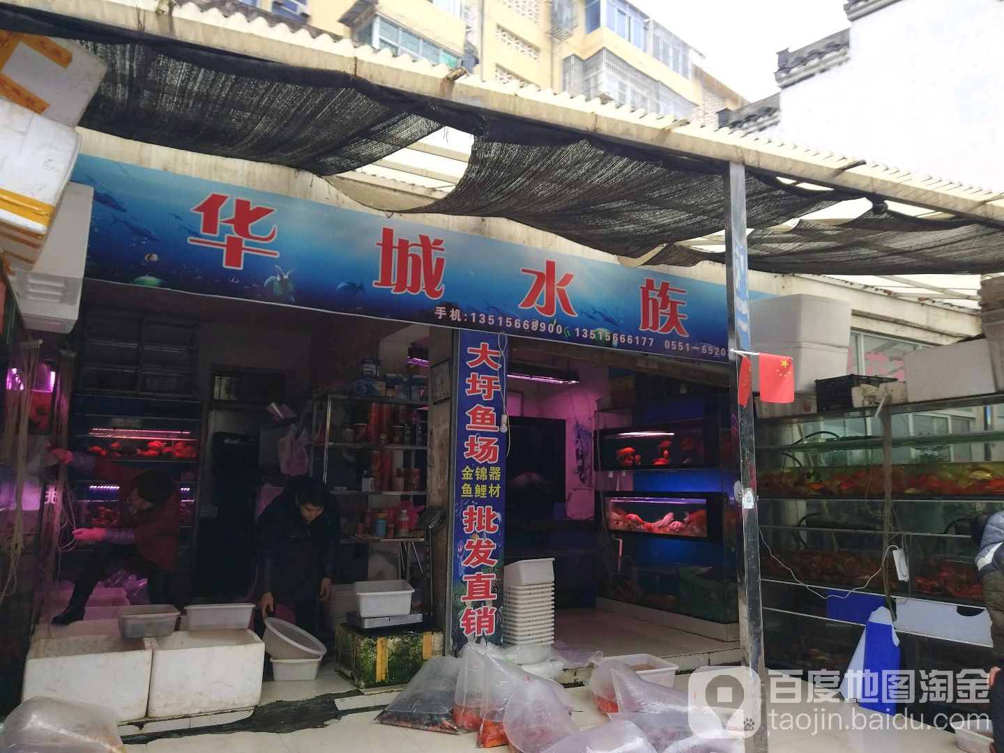 华城水族