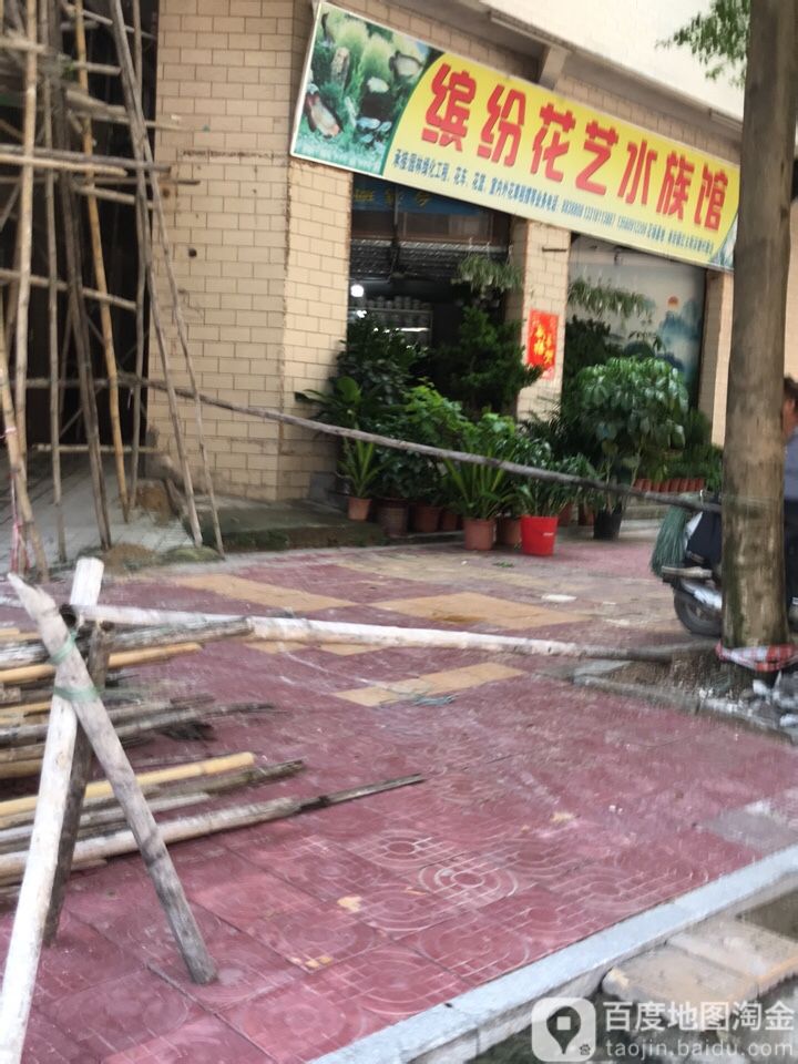 缤纷花艺水族管