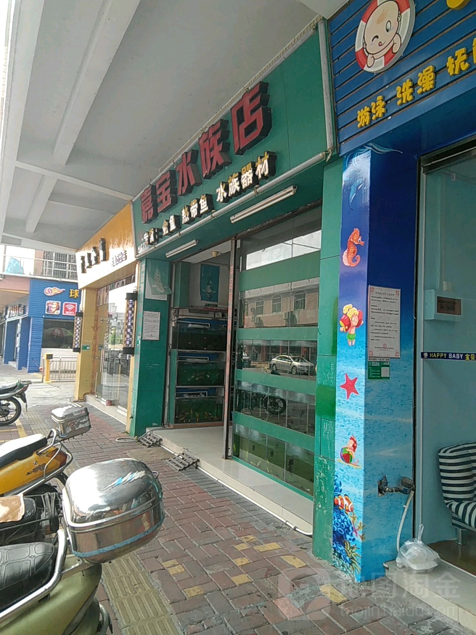 嘉宝水族店(南亭路店)