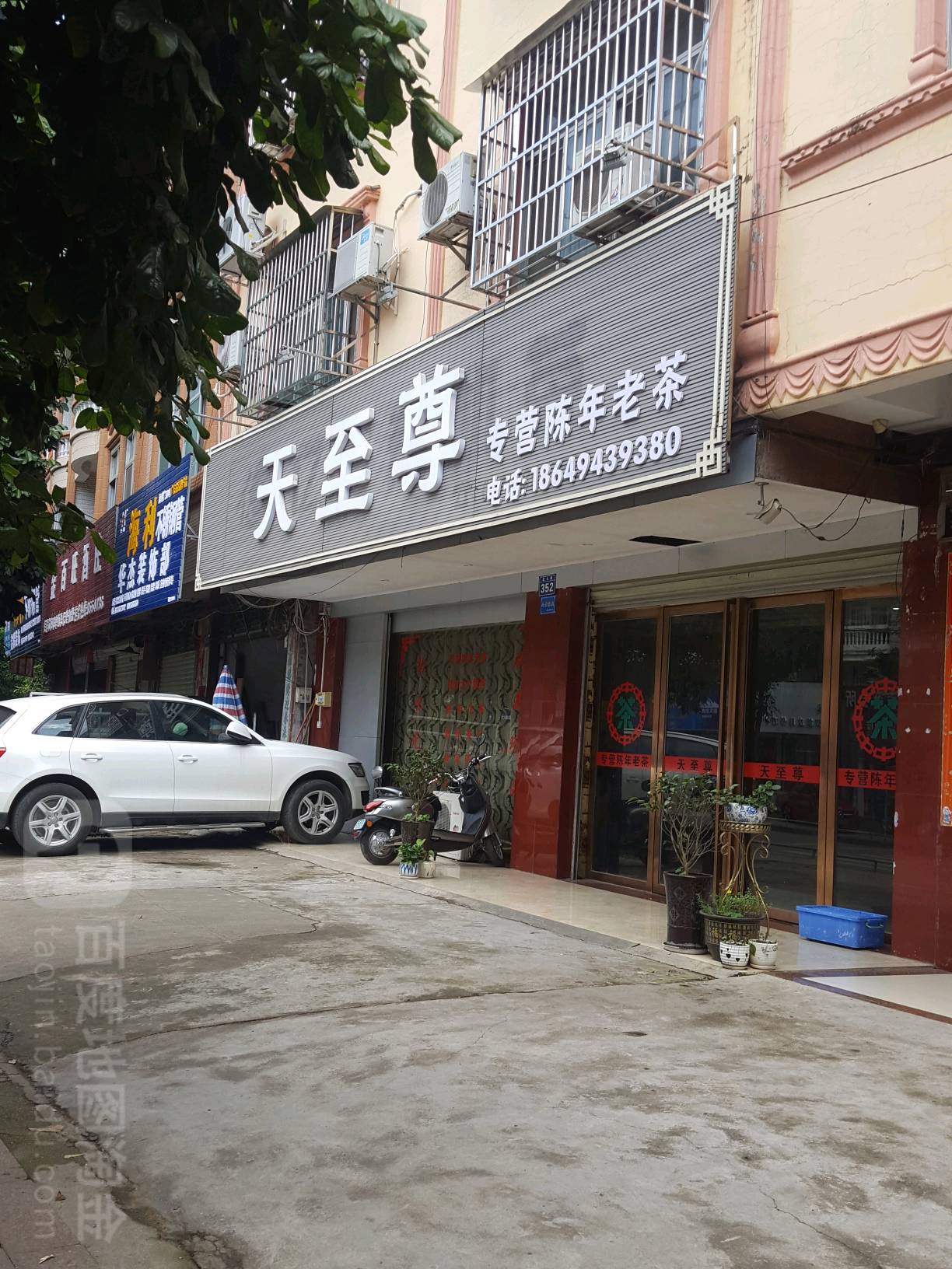 天至尊专营陈年老茶