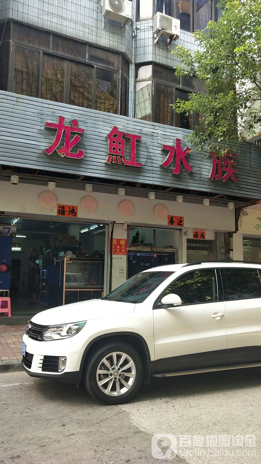 龙魟水族