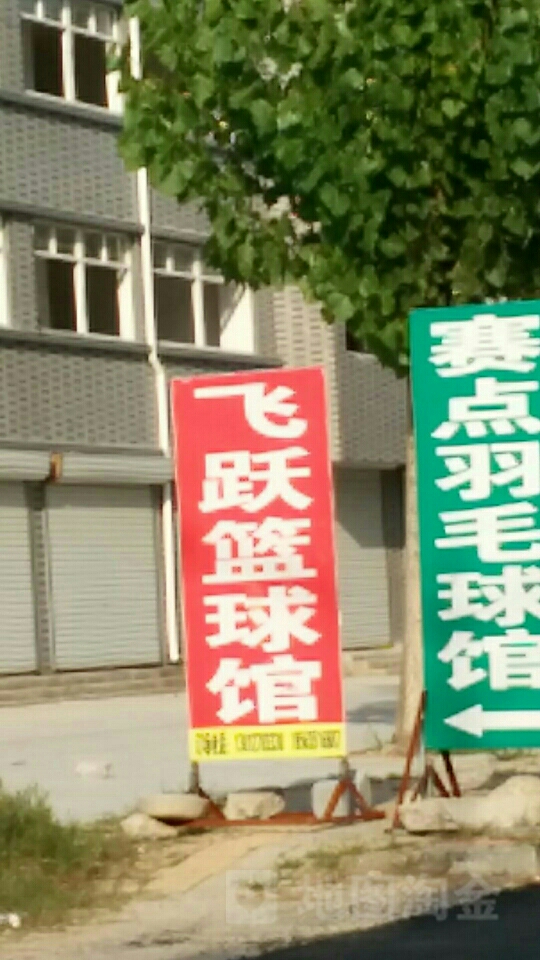 飞跃篮球馆