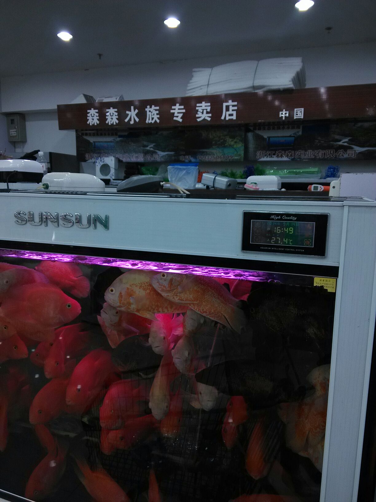 森森水族专卖店(遵化购物广场店)