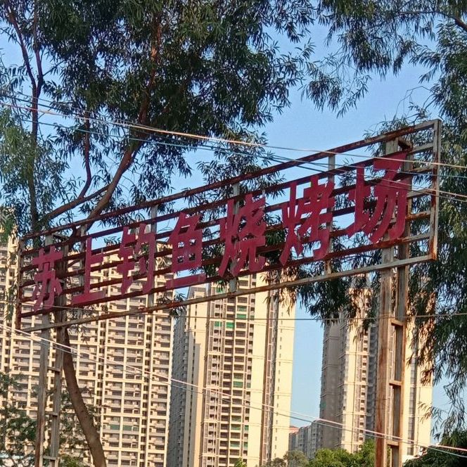 苏上串烧鸡