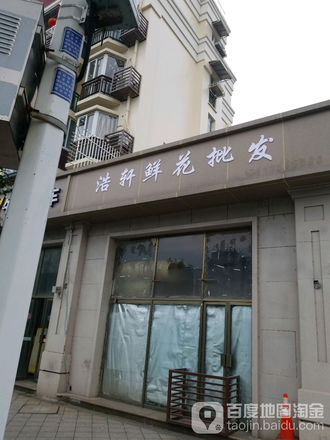 浩轩鲜花批发