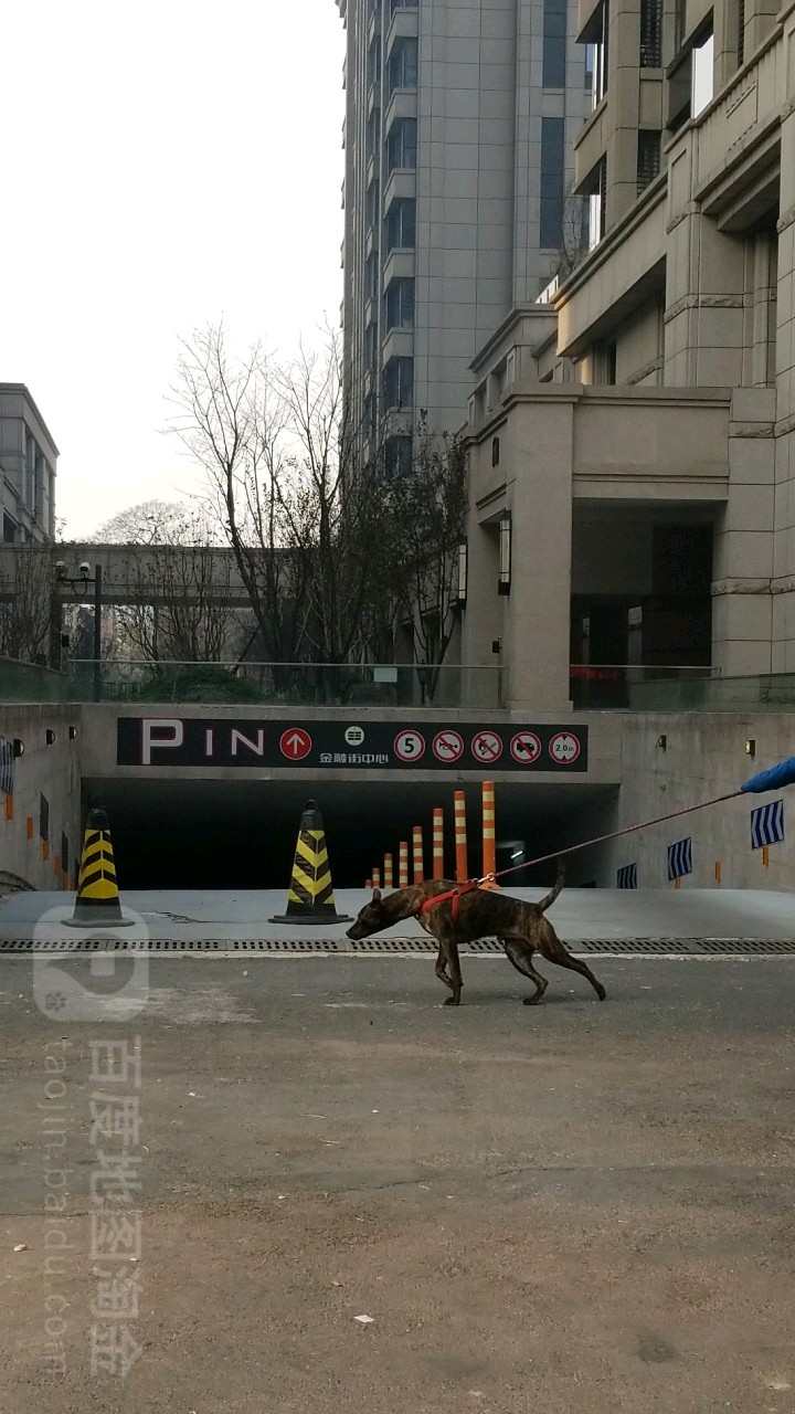 和平金融街中心-停车场