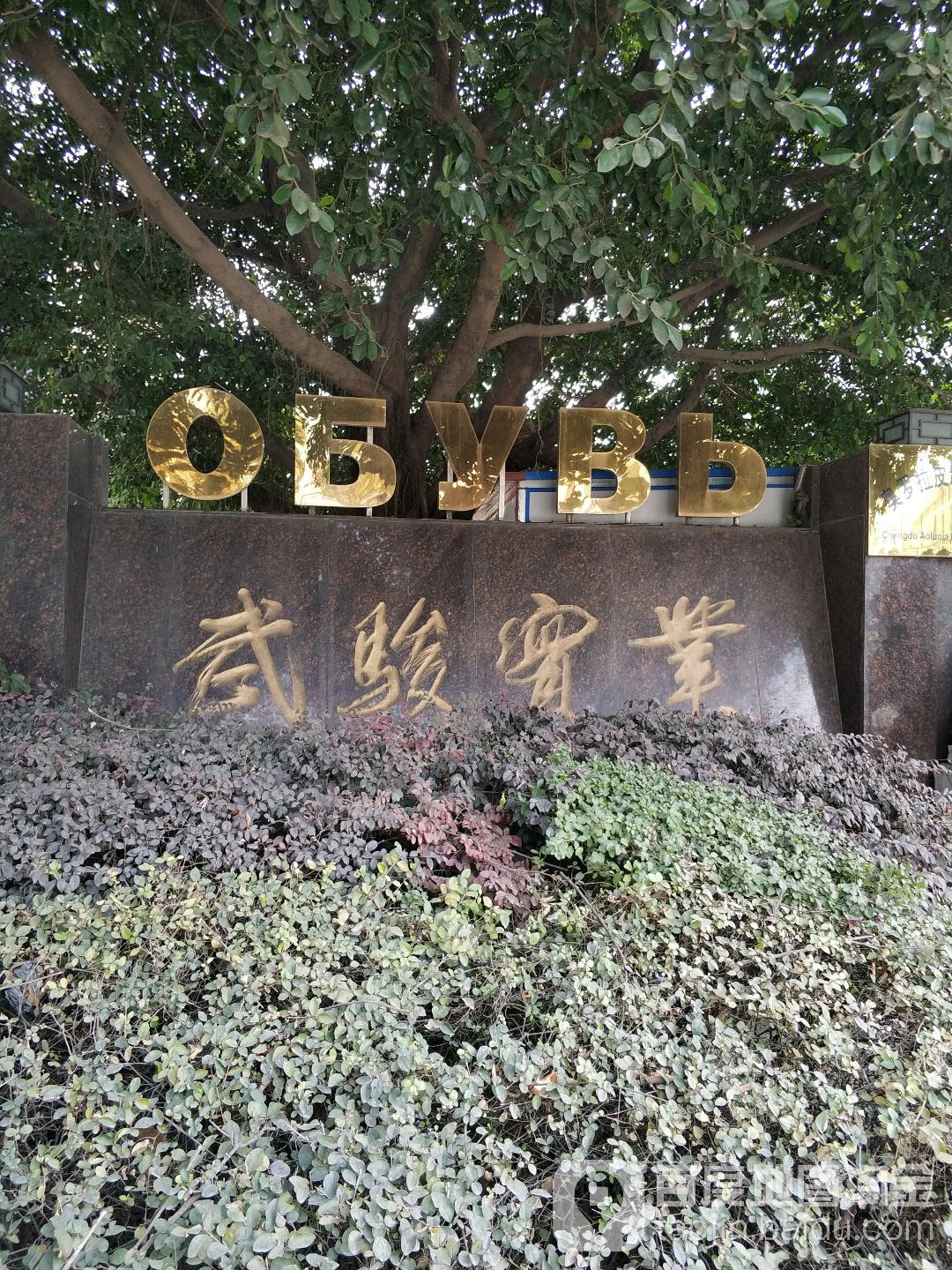 成都市武骏实业有限公司