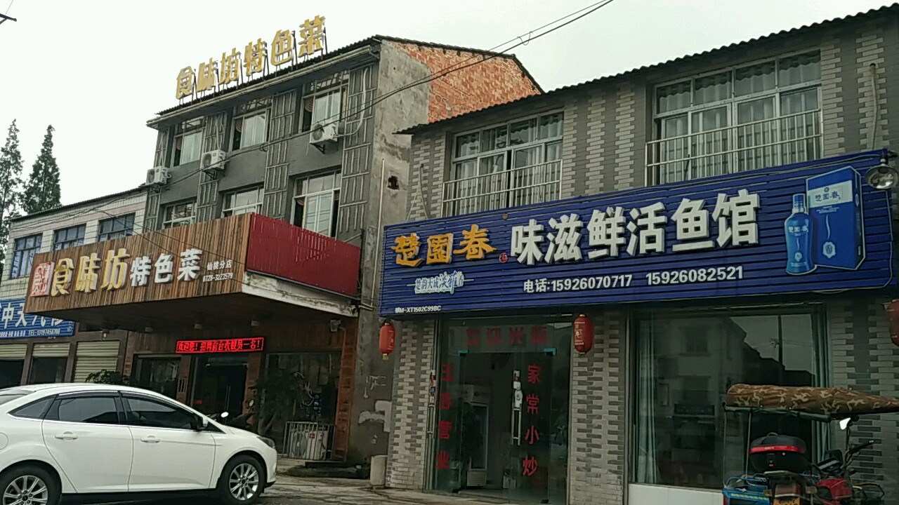 味滋鲜活鱼管