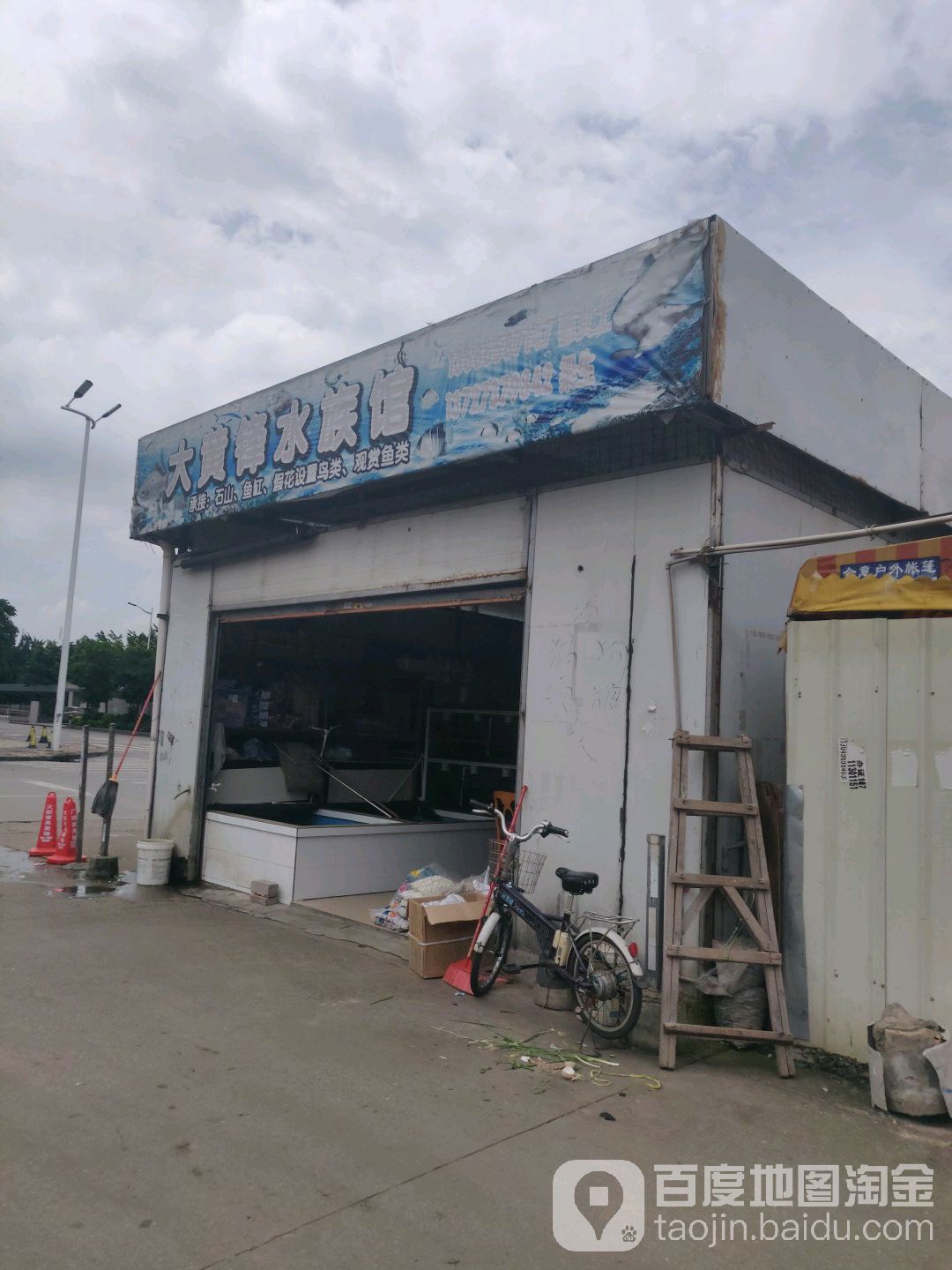 大黄锋水族馆