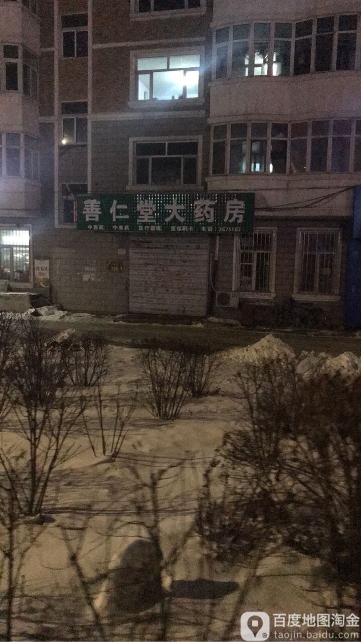 善民堂大药房(民生大街店)