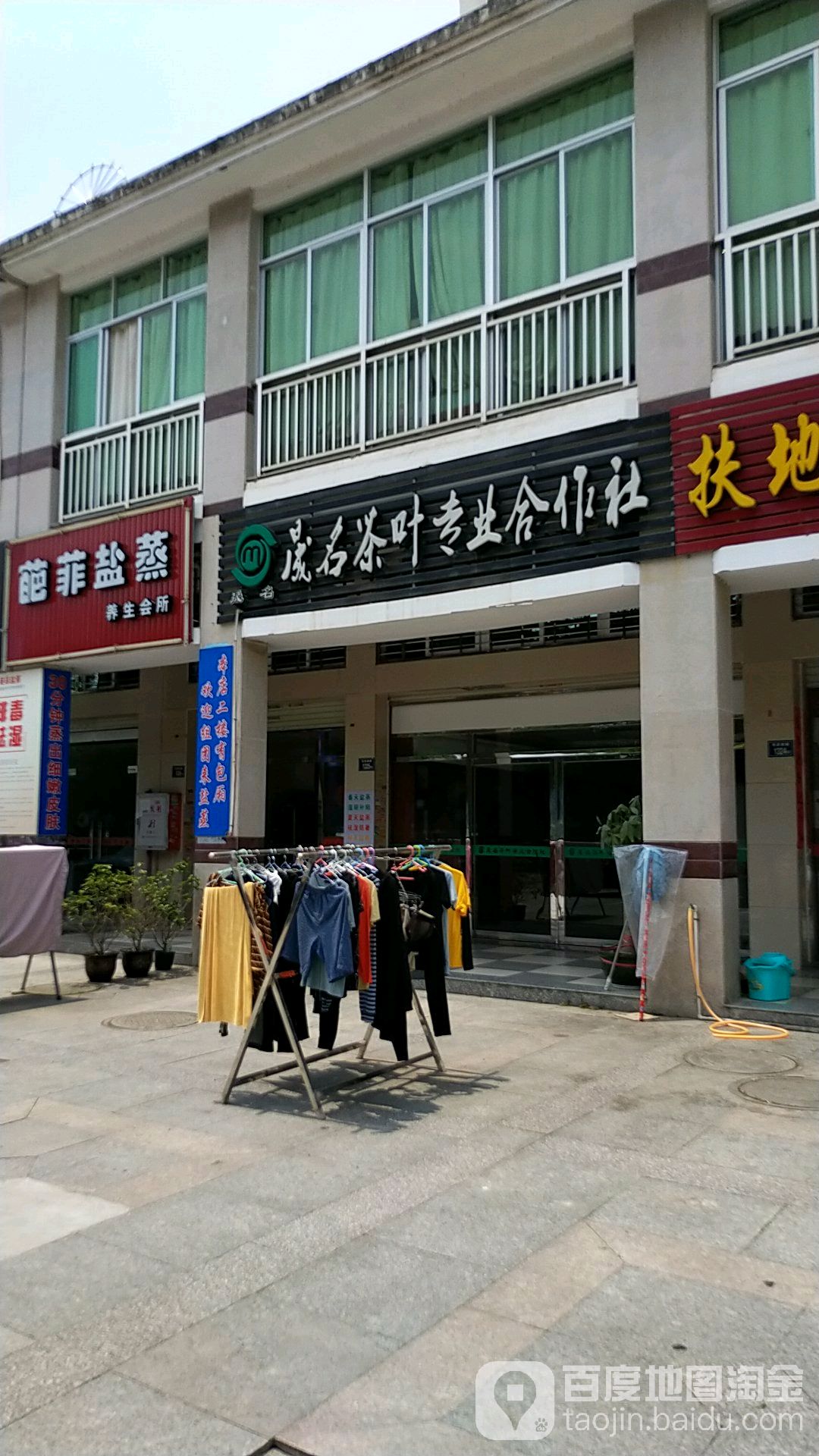 茂名茶叶专业合作社