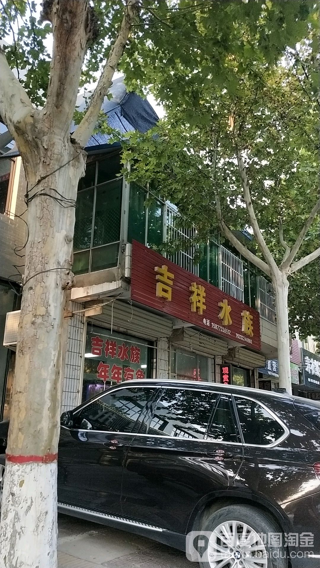 吉祥水族(朝阳街店)